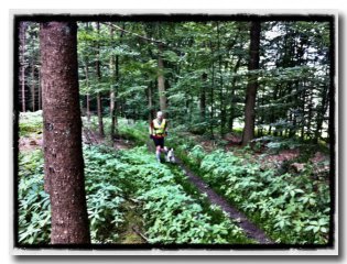 Lutz und Paul auf dem Waldpfad