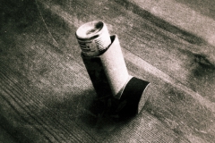 29